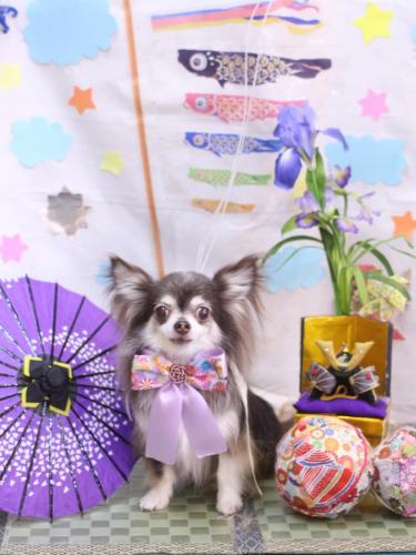 20240522空太くん